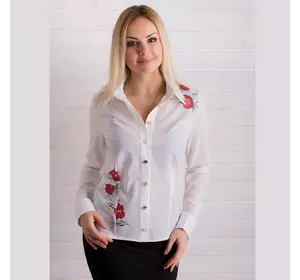 Женская блуза АРТ201