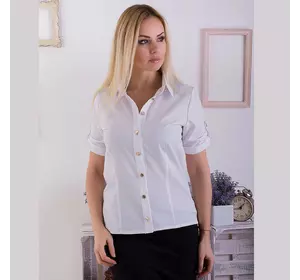 Женская блуза АРТ308